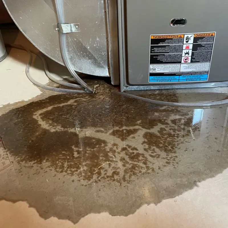 Pipe Burst and Leak Restoration in Colmar Manor, MD