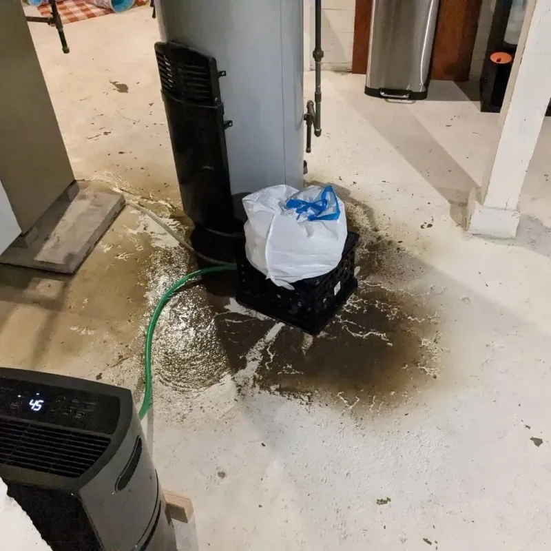 Sewage Backup Cleanup Service in Colmar Manor, MD